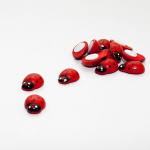 Lieveheersbeestje klein