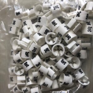 Minimarker wit/zwart 36 100st