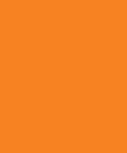Apli laser A4 fluor oranje 210x297mm et