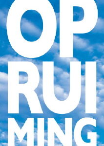 Raambiljet thema OPRUIMING 50x94cm wolk